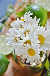 &quot;Drug and Alcohol Rehabilitation Centers in South Carolina